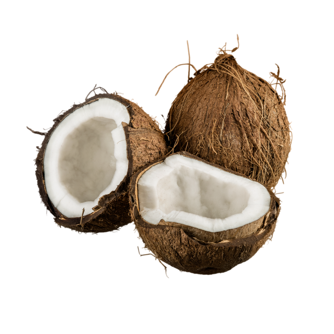 who-we-are Untitled-design-7.png