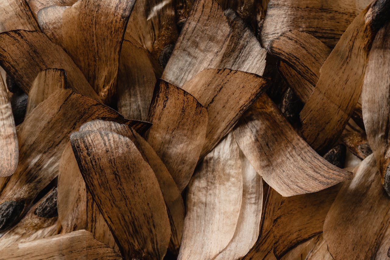 services-01 Close-up of brown coconut husk highlighting its natural texture and intricate weaving pattern.